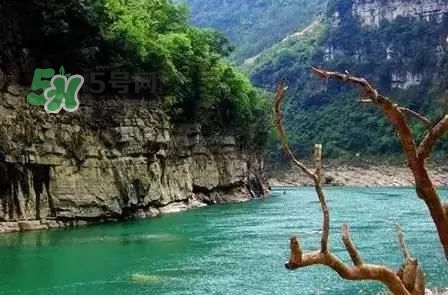 漂流需要準(zhǔn)備什么東西？漂流哪里最好玩？