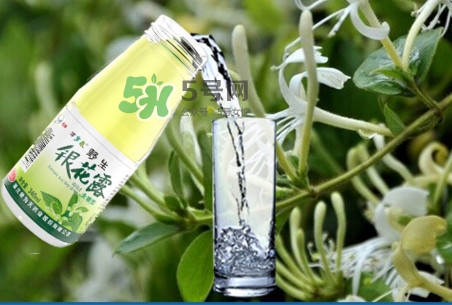 金銀花露可以冷藏嗎？金銀花露能放冰箱嗎？