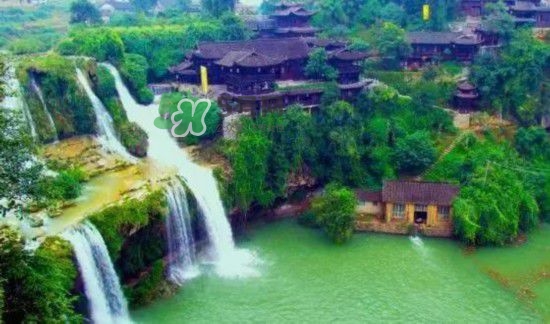 漂流需要準(zhǔn)備什么東西？漂流哪里最好玩？