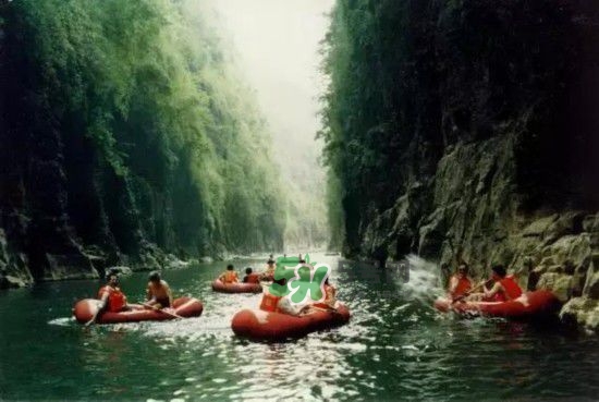 漂流需要準(zhǔn)備什么東西？漂流哪里最好玩？
