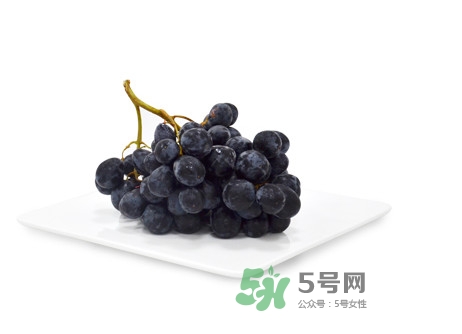 黑提有籽嗎？黑提是什么季節(jié)的水果
