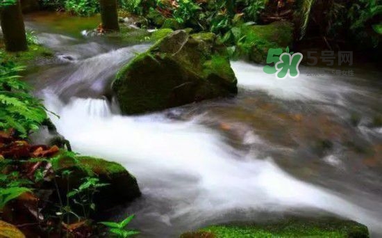漂流需要準(zhǔn)備什么東西？漂流哪里最好玩？