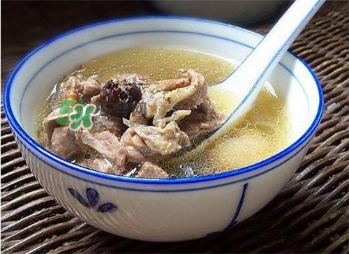 三伏天能吃鴿子嗎？三伏天能喝鴿子湯嗎？