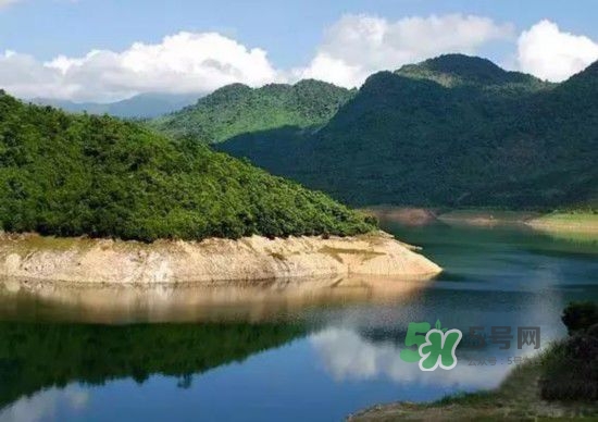 漂流需要準(zhǔn)備什么東西？漂流哪里最好玩？