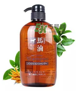 熊野馬油洗發(fā)水起頭屑嗎？KUMANO洗發(fā)水用完長頭屑嗎？