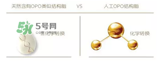 奶粉里面的OPO是什么？opo是天然的還是后期添加的？