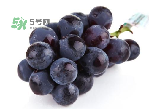 巨峰葡萄是酸性還是堿性？巨峰葡萄是堿性的嗎？