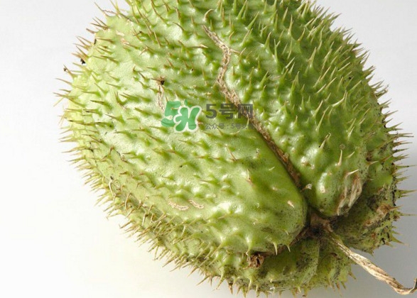 刺果番荔枝多少錢(qián)一斤？刺果番荔枝哪里有賣(mài)？