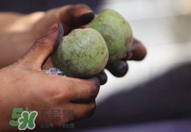 青皮核桃哪里有賣？哪里可以買到青皮核桃