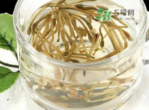 金銀花茶要怎樣泡才好喝？金銀花茶最佳泡茶水溫是多少