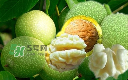 青皮核桃?guī)捉锍鲆唤锔珊颂?？青皮核桃什么時(shí)候成熟
