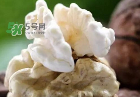 青皮核桃?guī)捉锍鲆唤锔珊颂遥壳嗥ず颂沂裁磿r(shí)候成熟