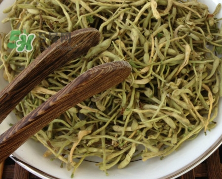 金銀花茶苦嗎？喝金銀花茶需要注意什么