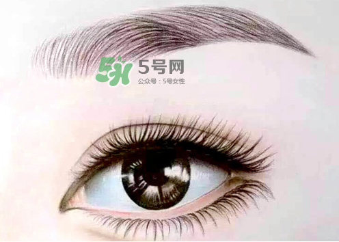 三伏天能紋眉嗎？三伏天紋眉毛好嗎？