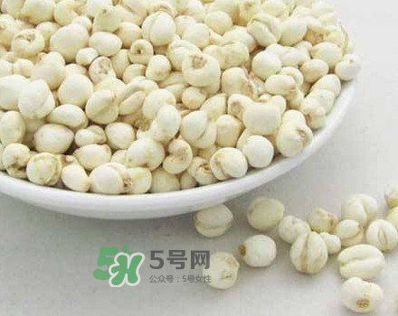 川貝母是川貝嗎？川貝母是酸性還是堿性？