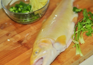金鱒魚(yú)清蒸為什么變黑？食用金鱒魚(yú)有什么好處
