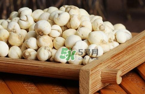 川貝母可以直接吃嗎？川貝母可以泡水喝嗎