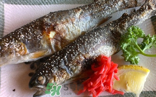 鱒魚是三文魚嗎？鱒魚是什么魚