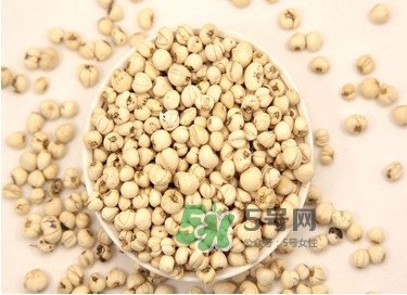 川貝母是苦的嗎？川貝母是涼性的嗎