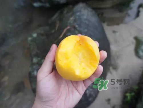 炎陵黃桃什么時(shí)候成熟？炎陵黃桃好吃嗎？