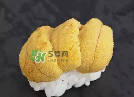 海膽怎么處理？海膽可以生吃嗎？