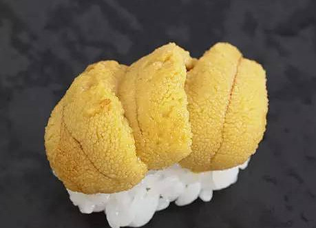 活海膽怎么殺？海膽怎么開殼？