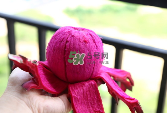 紅心火龍果能天天吃嗎？每天吃一個紅心火龍果好嗎？