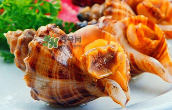 為什么海螺殼里面會(huì)有聲音？海螺和韭菜能不能一起吃