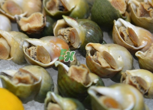 海螺怎么做好吃？海螺怎么清洗干凈