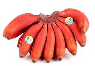 紅香蕉是哪里的特產(chǎn)？紅香蕉什么時(shí)候成熟？