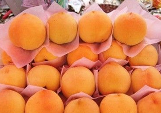 錦繡黃桃什么時(shí)候成熟？錦繡黃桃?guī)自鲁墒欤?><p><strong>錦繡黃桃什么時(shí)候成熟？錦繡黃桃?guī)自鲁墒欤?/strong></p></a></li> <li><a href=
