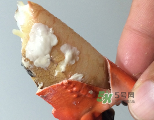 赤甲紅有母蟹嗎？赤甲紅為什么沒(méi)有母蟹？