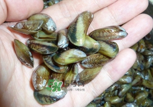 薄殼米是什么？薄殼怎么炒好吃？