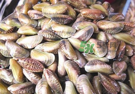 海瓜子煮多久能熟？海瓜子為什么放在水里殼不張開