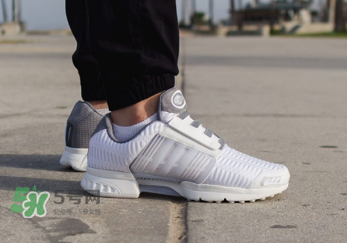 adidas climacool los angeles洛杉磯別注款怎么買_在哪買？