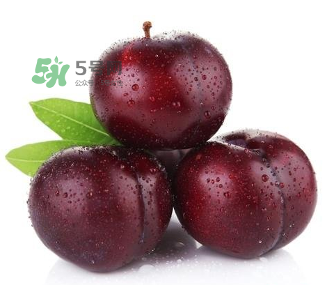 黑布林可以泡酒嗎？黑布林怎么吃？