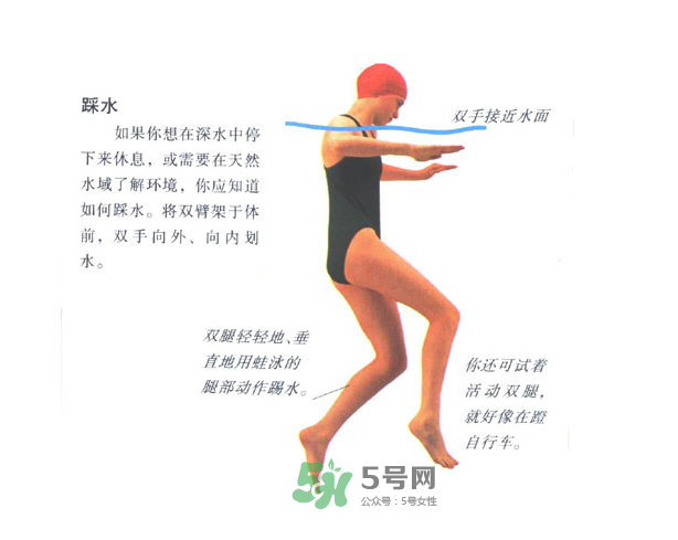 游泳怎么踩水？游泳踩水技巧圖解
