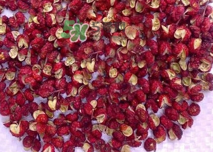花椒水泡腳能降血壓嗎？泡腳是干花椒好還是鮮花椒好