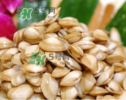 海瓜子怎么養(yǎng)？如何挑選海瓜子