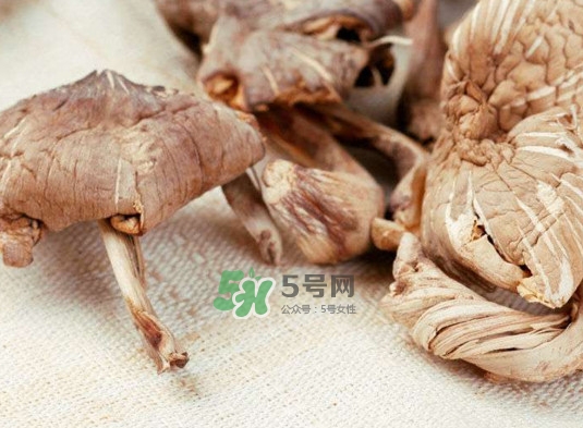 雞樅菌怎么讀？雞樅菌怎么做好吃？