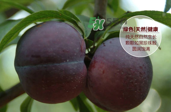 黑布林什么時(shí)候吃最好？黑布林什么人不能吃？