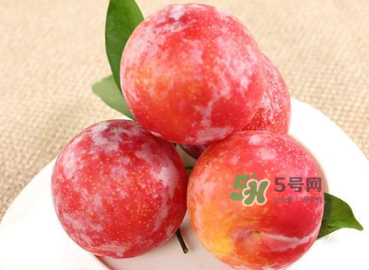 紅布林孕婦可以吃嗎？孕婦可以吃紅布林嗎？
