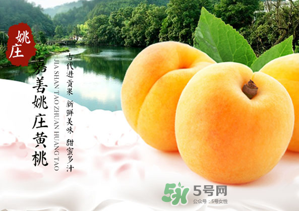 嘉善黃桃多少錢一斤？嘉善黃桃的上市時間