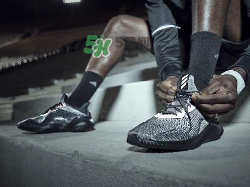 adidas alphabounce reflective阿爾法小椰子跑鞋夜光版多少錢？