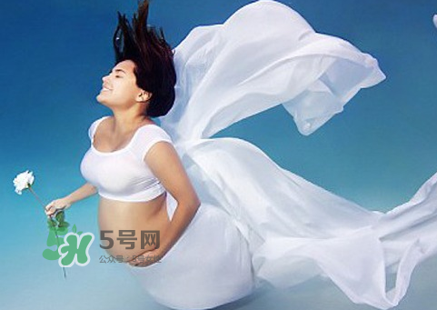 家里有寵物狗對(duì)孕婦好嗎？懷孕了家里有寵物要緊嗎？