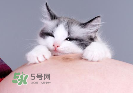 孕婦被貓抓了怎么辦？孕婦被貓抓傷了對(duì)寶寶有什么影響？