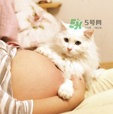 孕婦被貓抓了怎么辦？孕婦被貓抓傷了對(duì)寶寶有什么影響？