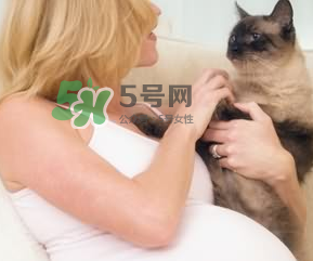 孕婦被貓抓了怎么辦？孕婦被貓抓傷了對(duì)寶寶有什么影響？