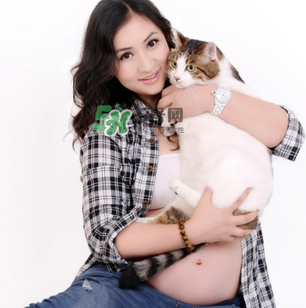 孕婦被貓抓了怎么辦？孕婦被貓抓傷了對(duì)寶寶有什么影響？