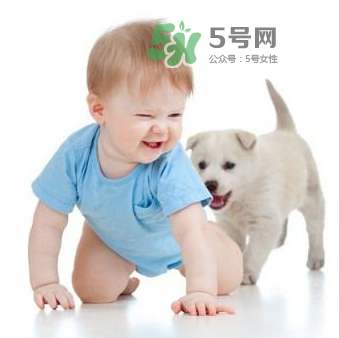 寵物對(duì)嬰兒的影響 寵物對(duì)嬰兒的危害有哪些？
